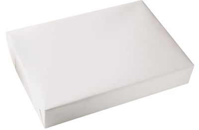 Paquet de 250 feuilles de papier blanc 210g de format A3 CLAIRALFA