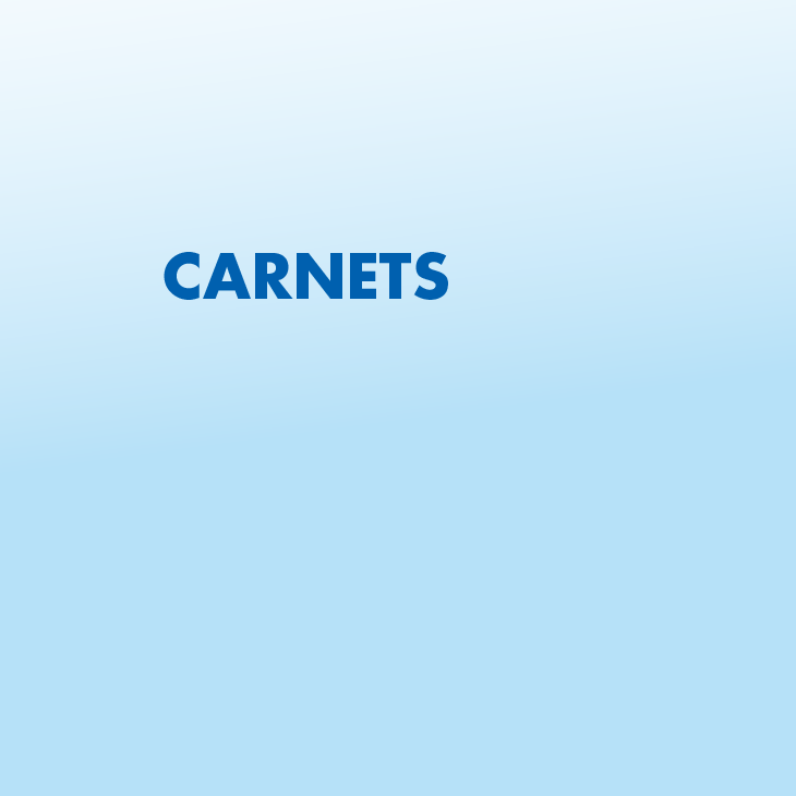 Category name
