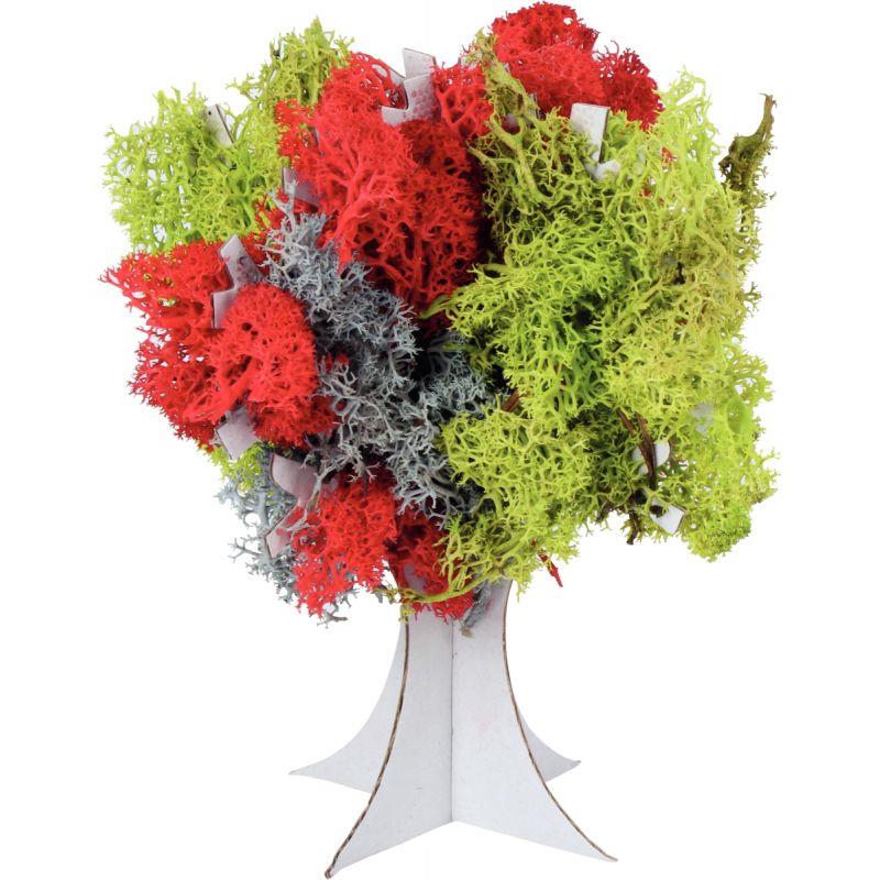 Image de  Lot  6 x  100g lichen  stabilisé de couleurs 