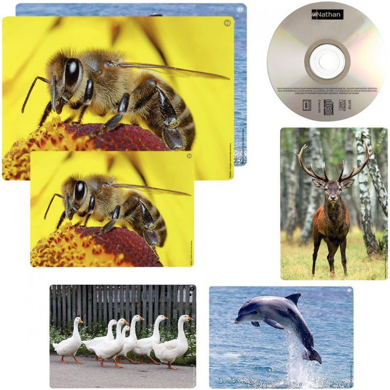 Image de  Imagier sonore des animaux 