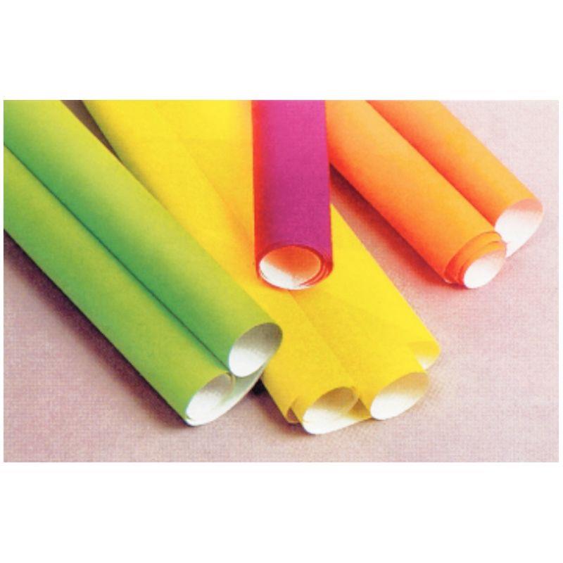 Image de  Paquet de 10 feuilles affiche 90g 60x80cm fluo assortis 