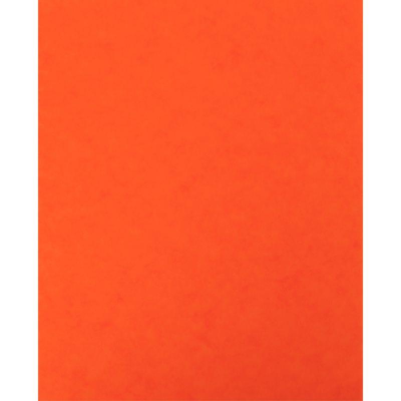 Image de  Lot de 10 protège-cahier 2 grands rabats  format 18 x 22 cm carte lustrée coloris orange 