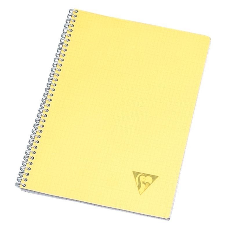 Image de  Cahier à reliure intégrale 100 pages LINICOLOR FRESH, format A4, seyès 