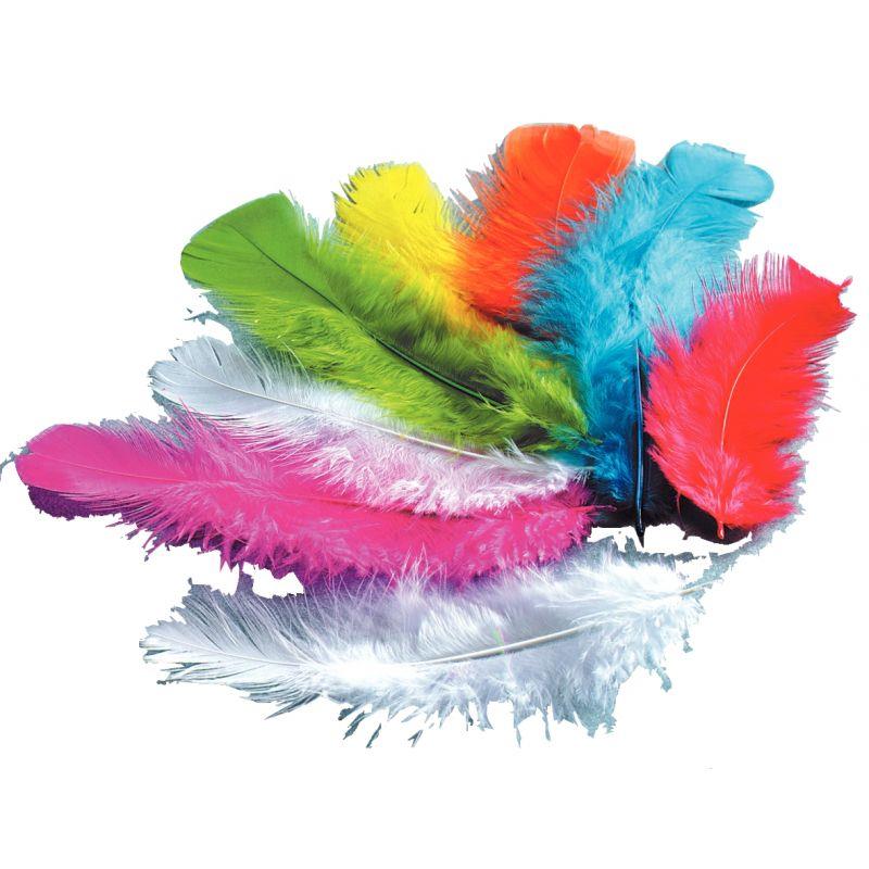 Image de  Sachet de 250 grammes de plumes de dinde assortis 