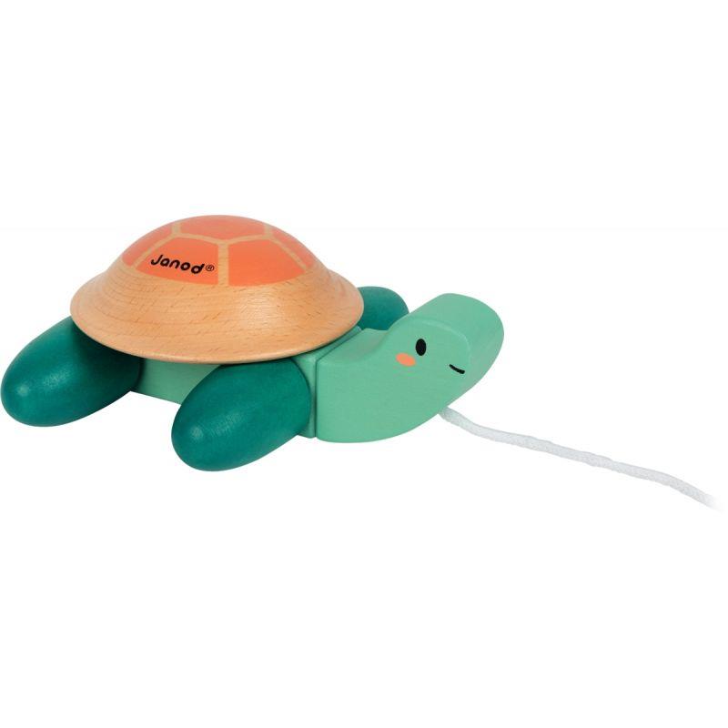 Image de  Tortue à promener 