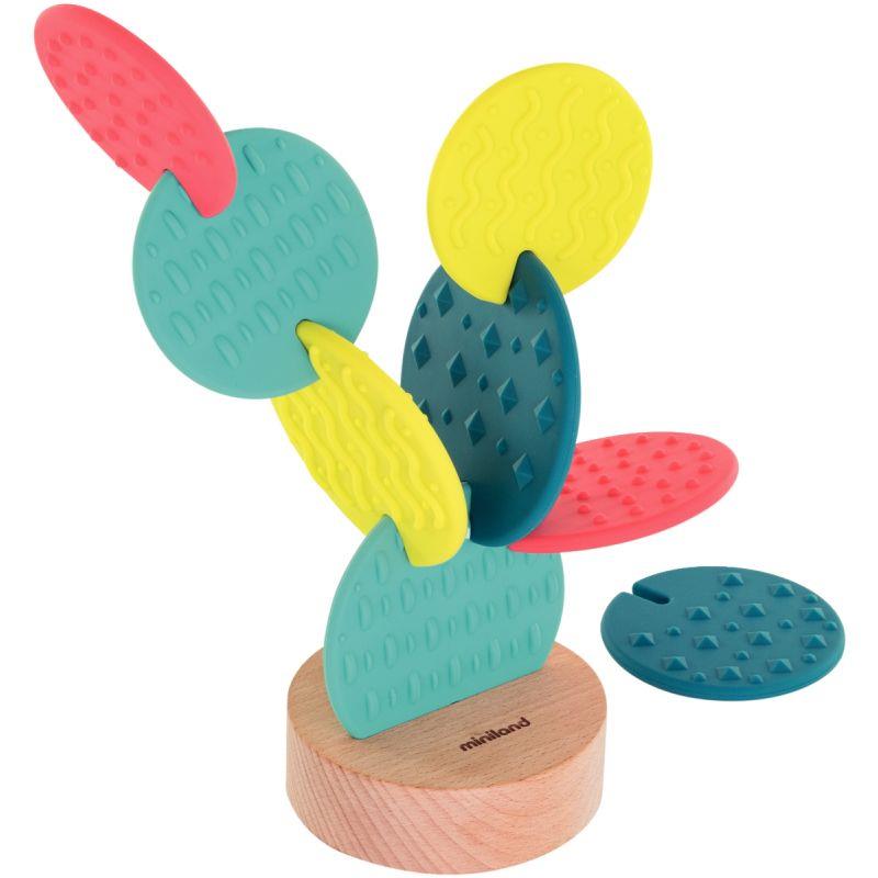 Image de  Cactus d''éveil sensoriel 