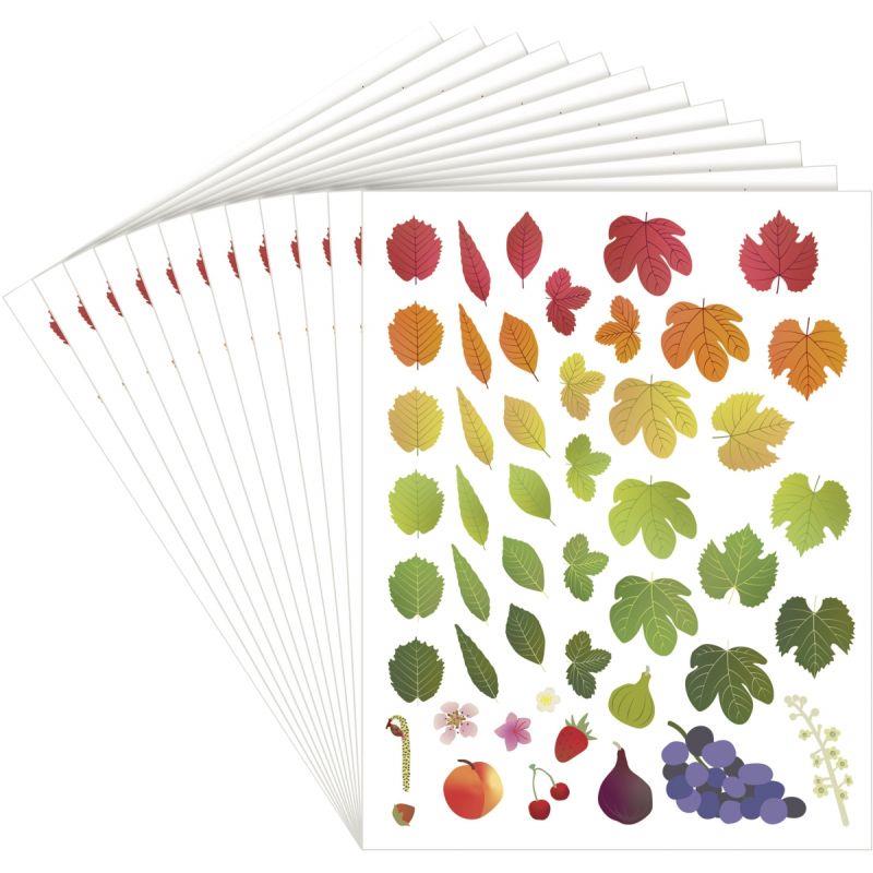 Image de  Pochette de 576 gommettes les 4 saisons 