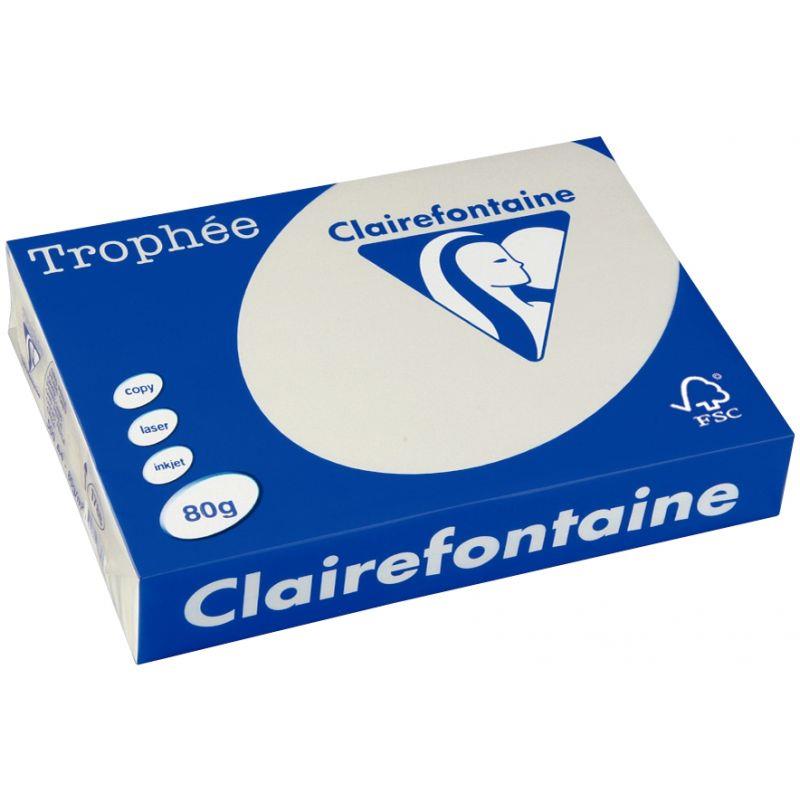Image de  Carton de 3 ramettes format A3 80g gris CLAIREFONTAINE 