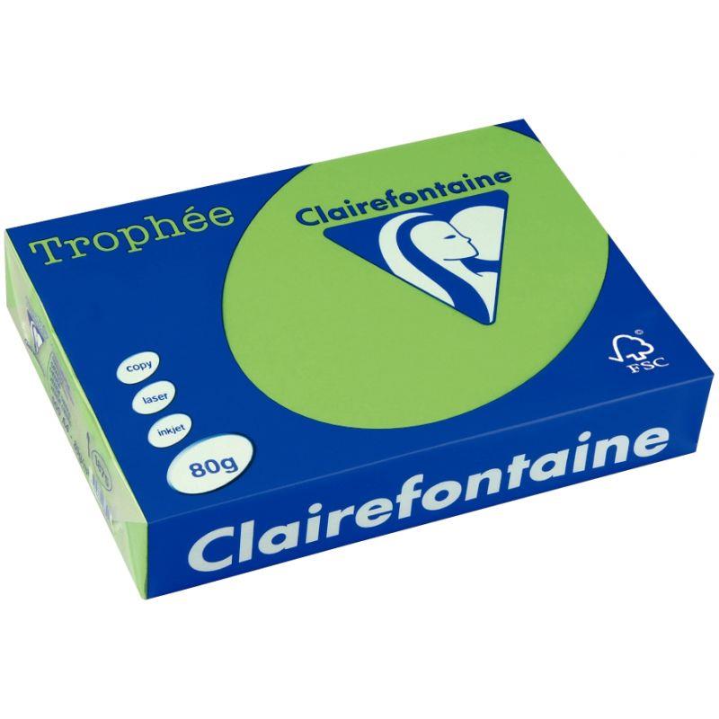 Image de  Carton de 3 ramettes de 500 feuilles format A3 80g vert menthe 