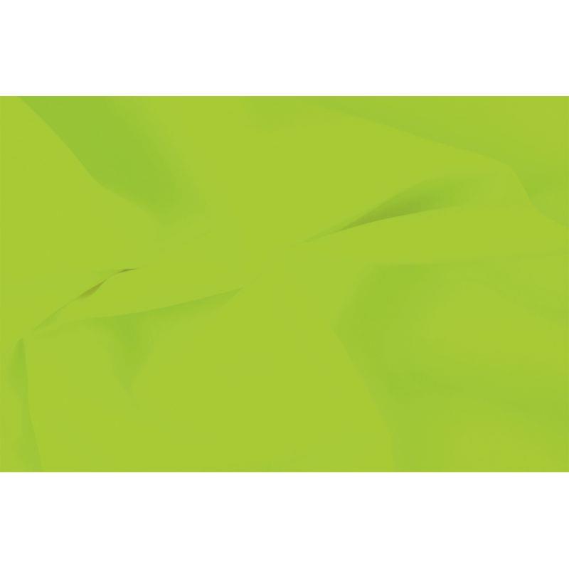 Image de  Paquet de 240 feuilles de papier de soie 75x50cm Vert 