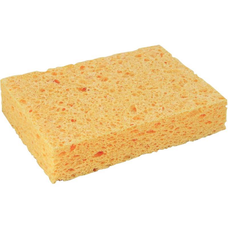 Image de  Lot de 10 éponges végétales n°4 