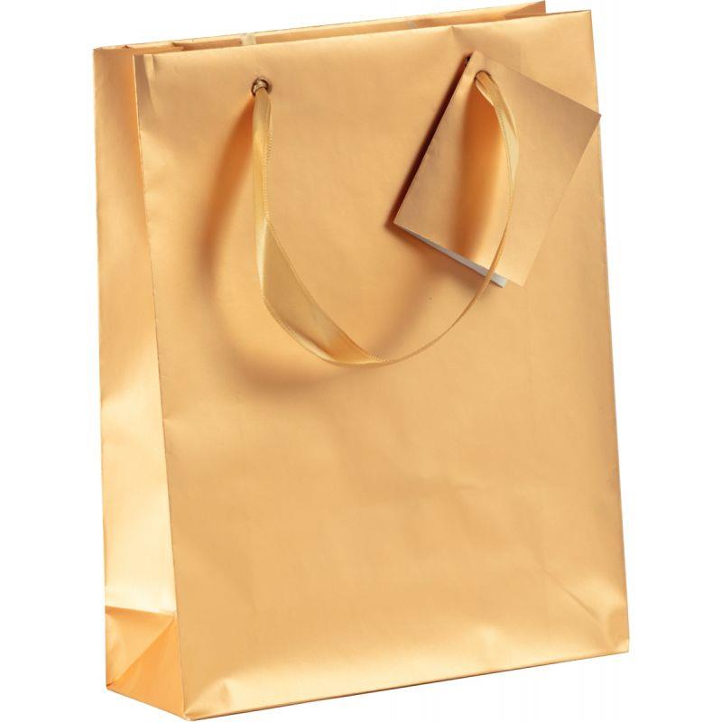 Image de  Lot de 5 sacs cadeau 17x6x22cm coloris or 