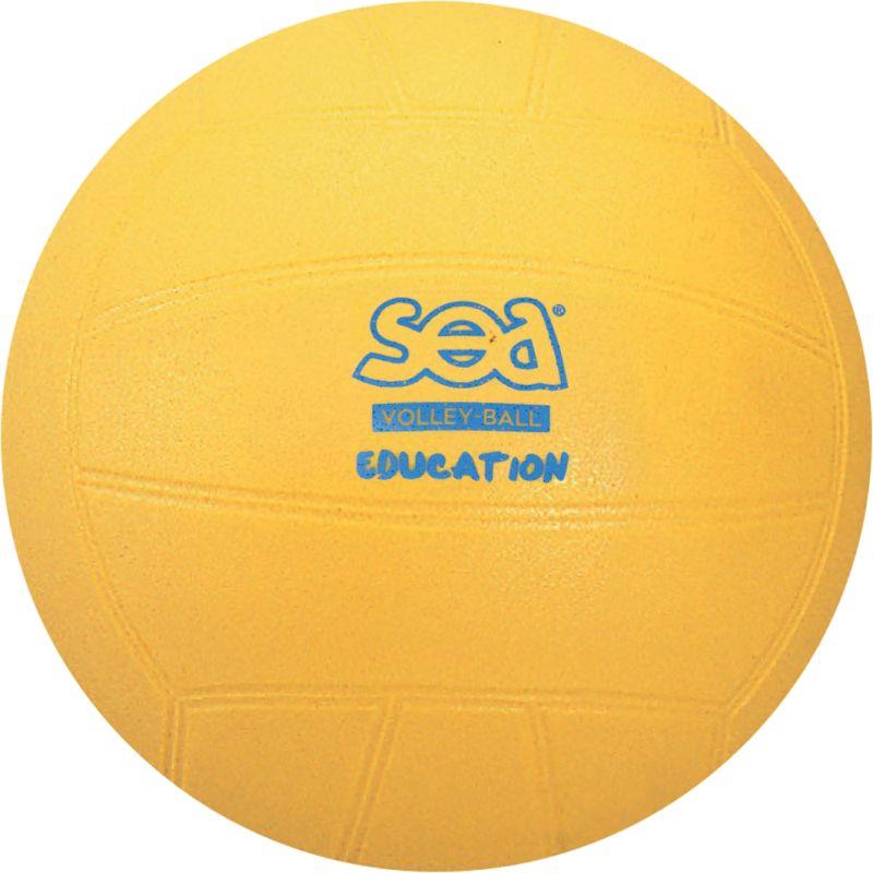 Image de  Ballon initiation volley diamètre 20cm 