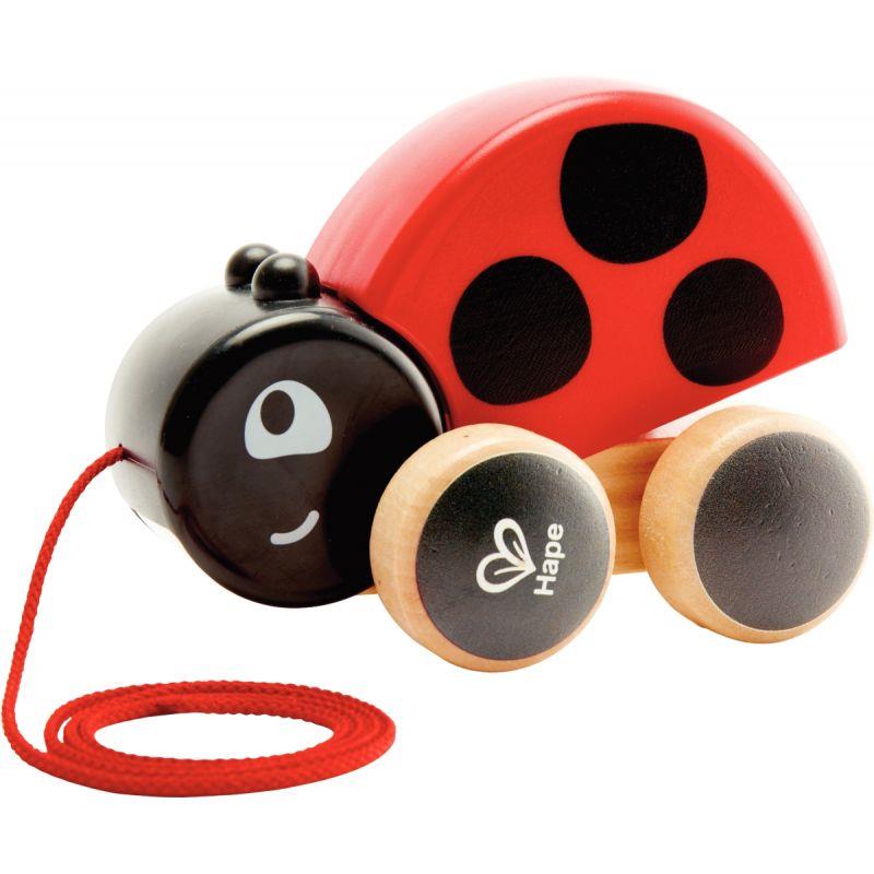Image de  Coccinelle à promener 