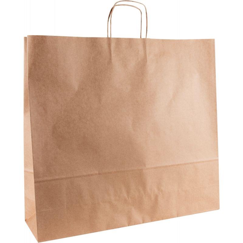 Image de  Carton de 100 sacs kraft brun 40+16x45cm poignées torsadées 