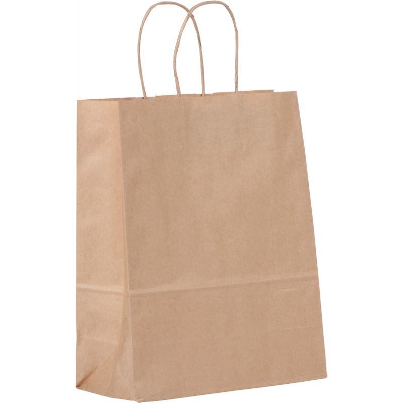 Image de  Carton de 200 sacs kraft brun 24+11x30cm poignées torsadées 