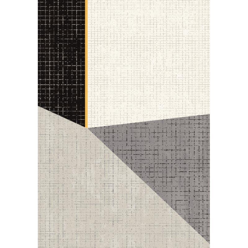 Image de  Tapis CANVAS 120x170 cm modèle D 