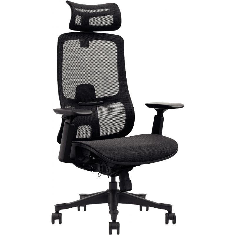 Image de  Siège ergonomique Carson V2 noir 