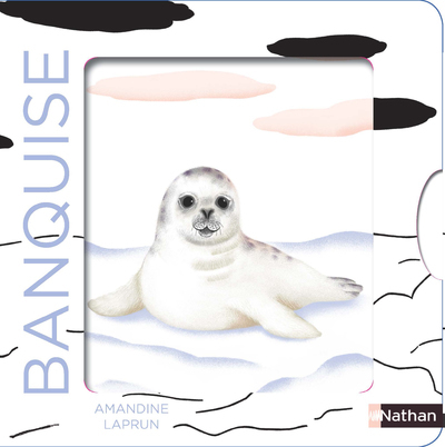 Ref. 9782092491881, Les belles couleurs - la banquise, marque NATHAN