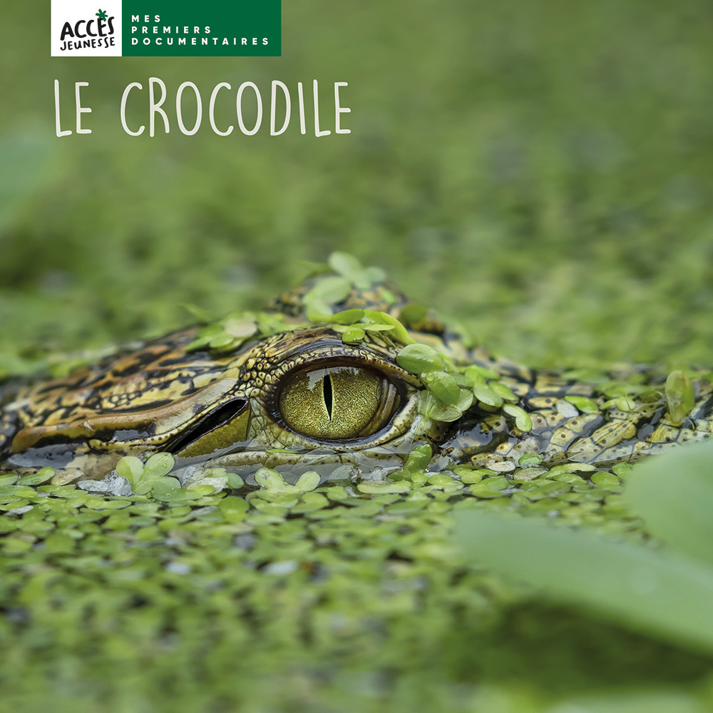 Image de  Le crocodile 