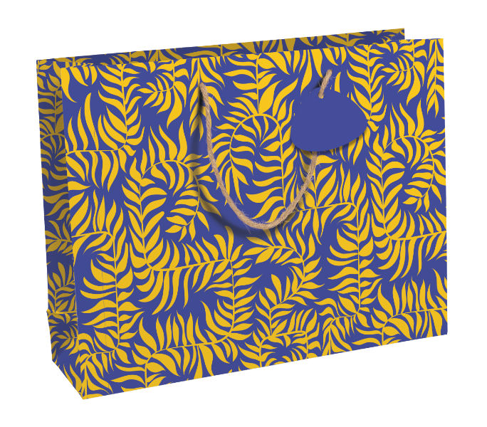 Image de  Sac cadeau shopping kraft 37,3x11,8x27,5 liwa 