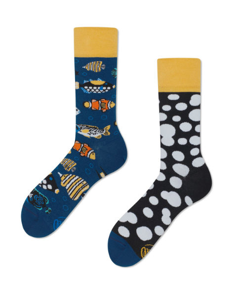 Image de  Chaussettes poissons tropicaux 43-46 