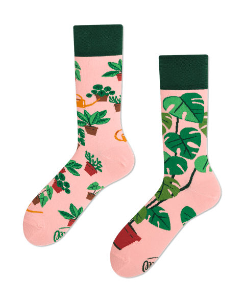 Image de  Chaussettes plantes 43-46 