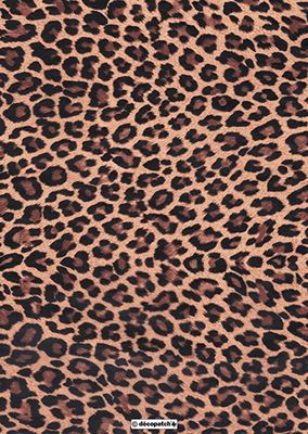 Image de  Feuille decopatch 30x40 n°207 