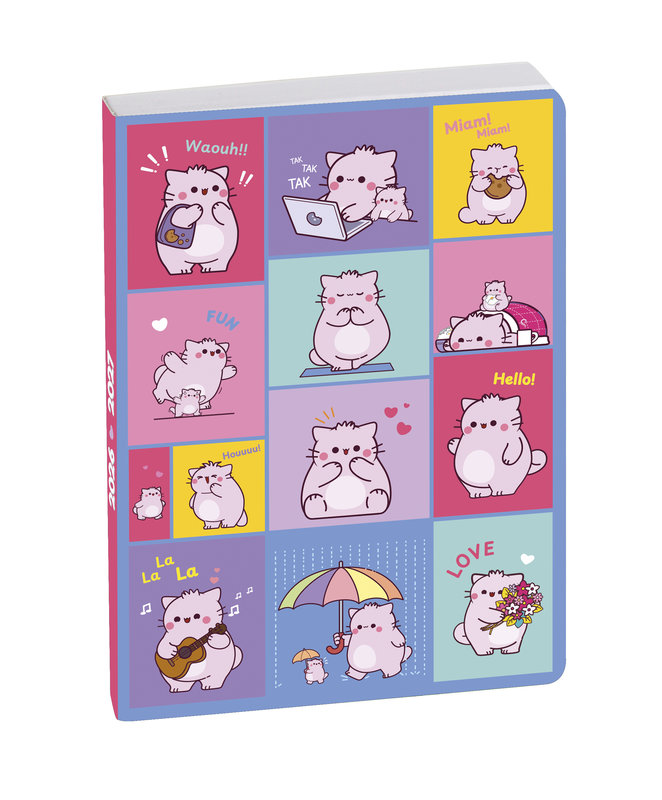 Image de  Agenda Journalier Forum Color 12x17 Pembe Funny Day Bleu 