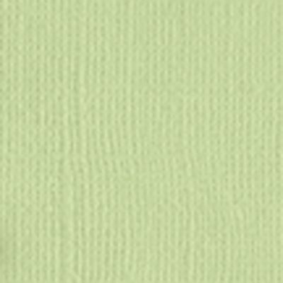 Ref. HUB11110506, Np10 bazzill papier scrap aloe vera
