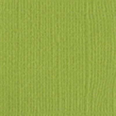 Ref. HUB11110510, Np10 bazzill papier scrap parakeet