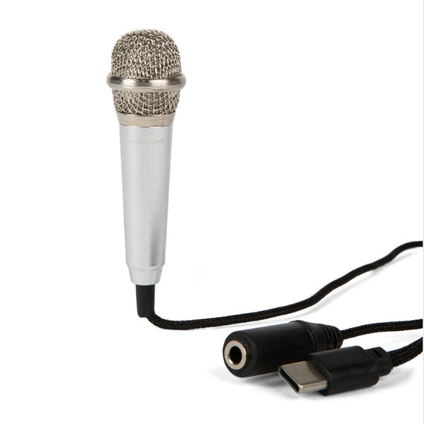 Image de  Mini microphone type c 