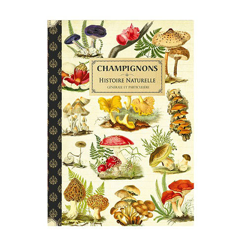 Image de  Cahier imagier 15x21 48 pages champignons 