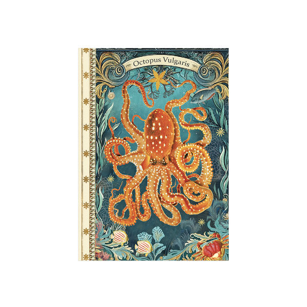 Image de  Carnet de mot de passes 10x15 48 pages octopus 