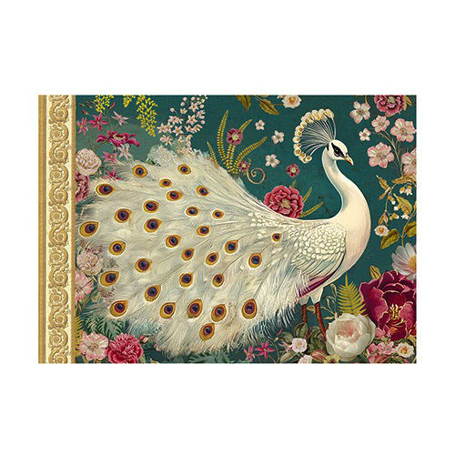 Image de  Cahier illustré 21x15 48 pages kanti paon blanc 