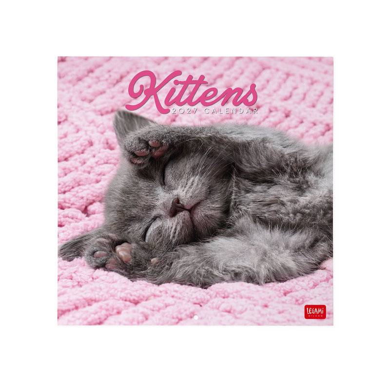 Ref. LEGCAL270001, Calendrier 2027 - Chats - chatons - 30x29 cm, marque LEGAMI