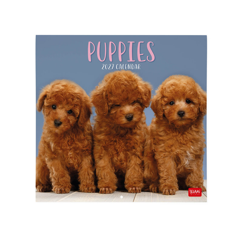 Ref. LEGCAL270003, Calendrier 2027 - Chiens - chiots - 30x29 cm, marque LEGAMI