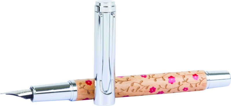 Image de  Plume Fine Esteli rouge 