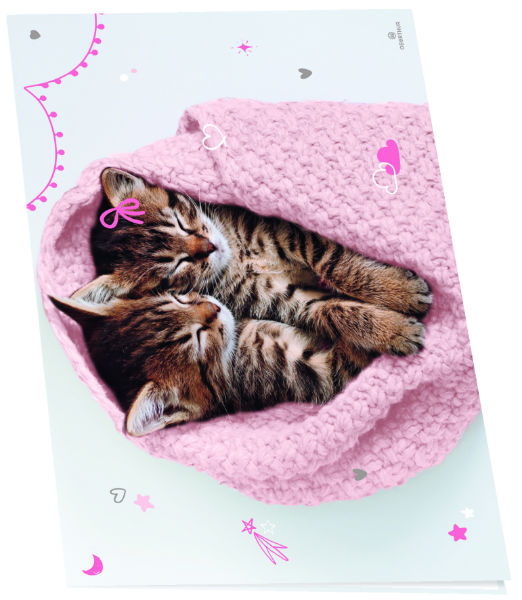 Image de  Sous main double Chaton tendre duo 