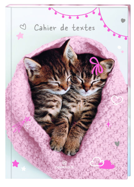 Image de  Cahier de texte 17x 22 Chaton tendre duo 