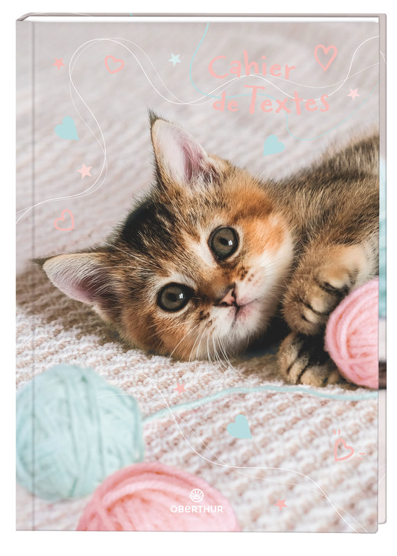 Image de  Cahier de texte 17x 22 Chaton tendre 
