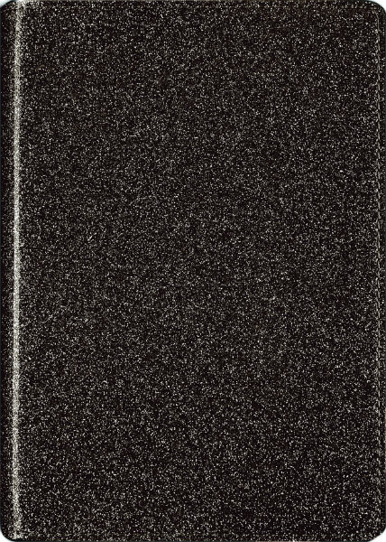 Image de  Agenda 13x18 Paillettes noir 