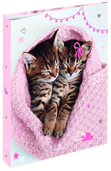 Image de  Classeur 4 anneaux carton Chaton tendre duo 