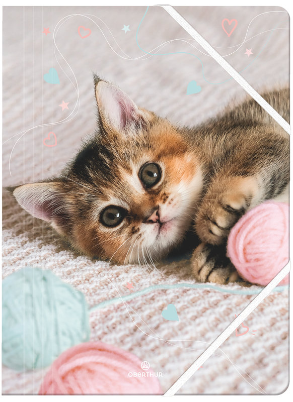 Image de  Chemise A4 3 rabats élastique Chaton tendre 