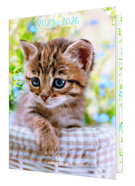 Image de  Agenda souple 12x17 Chaton fleurs 