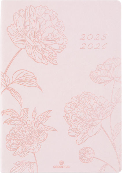 Image de  Agenda SAS 25 Summerside nude 