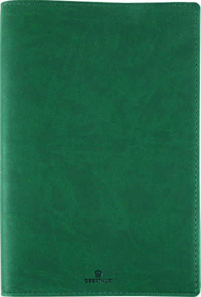 Image de  Agenda SAS 25S Dayton vert 