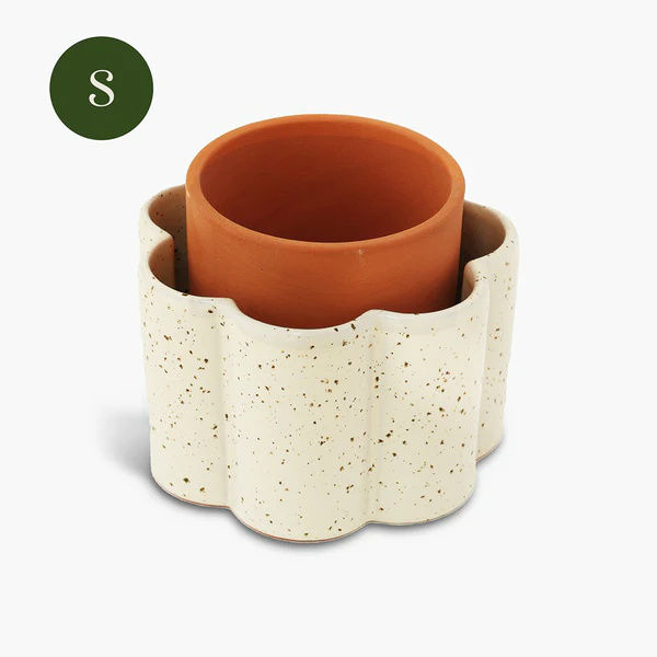 Image de  Pépin. Pot autonome Paulita (S) Blanc grainé 