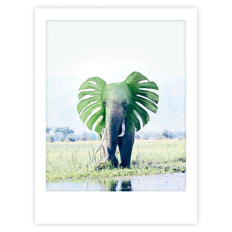Image de  Affiche 40x30 la vie est magique 