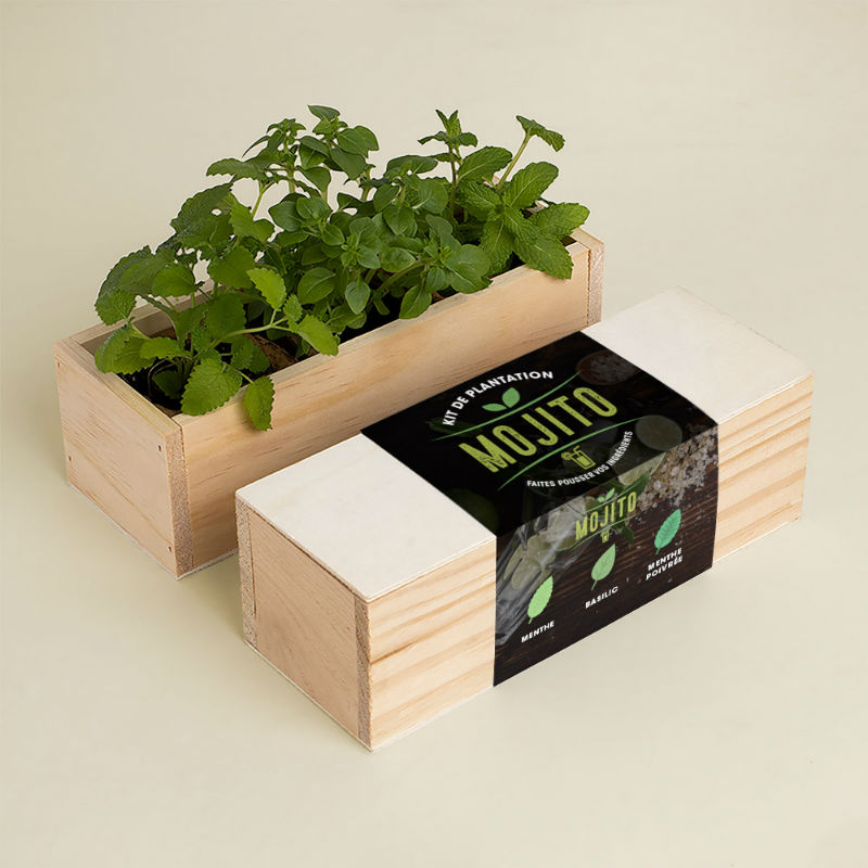 Ref. RESFRST062, Kit d’Auto-culture Mojito (persil, basilic et coriandre) (français), marque RESETEA
